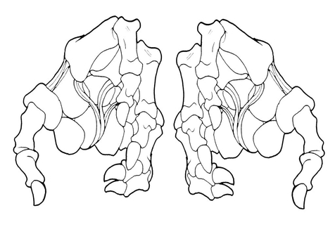 Hand Grabbing Drawing at GetDrawings | Free download