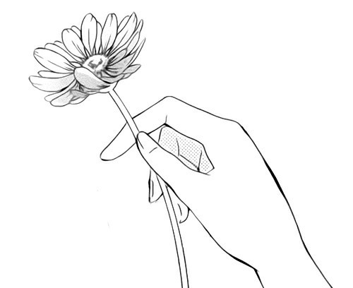 Hand Holding A Rose Drawing at GetDrawings | Free download