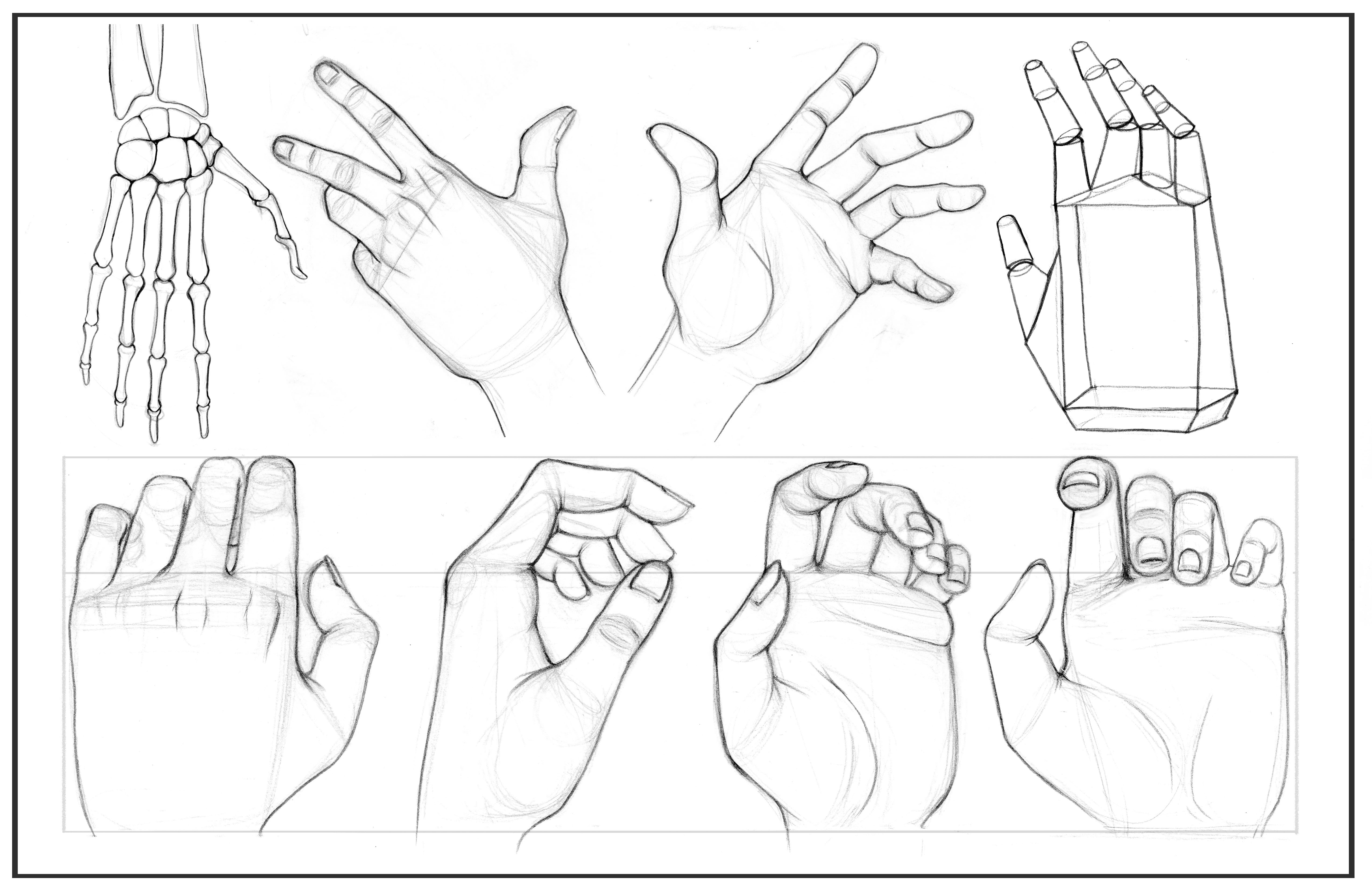 Hand Model For Drawing at GetDrawings Free download