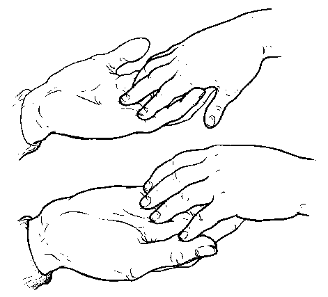 Hand Reaching Out Drawing at GetDrawings | Free download