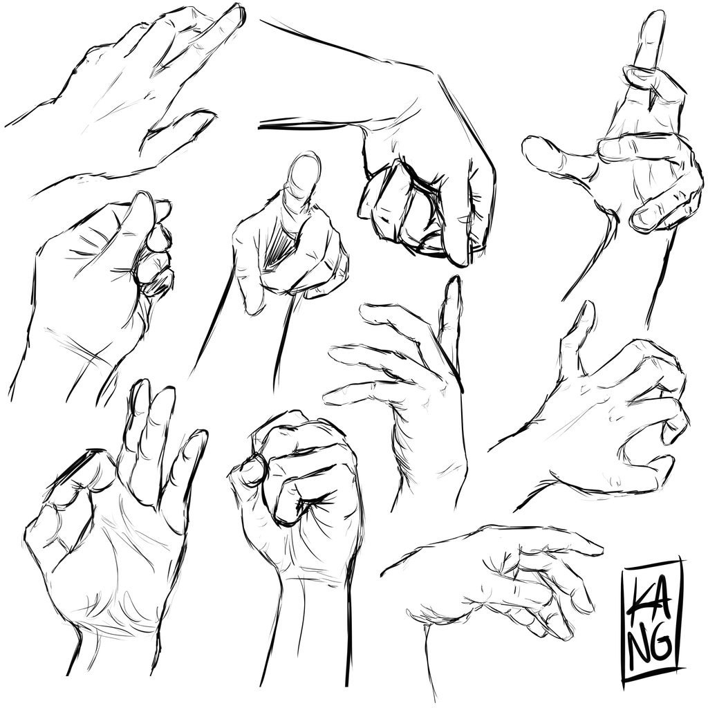 Hand Reference Drawing at GetDrawings Free download