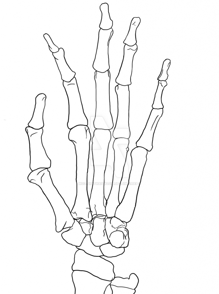 Hand Skeleton Drawing at GetDrawings Free download