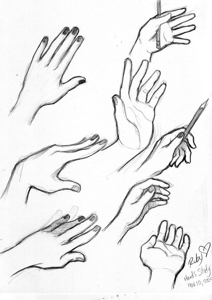 Hands Reference Drawing at GetDrawings Free download