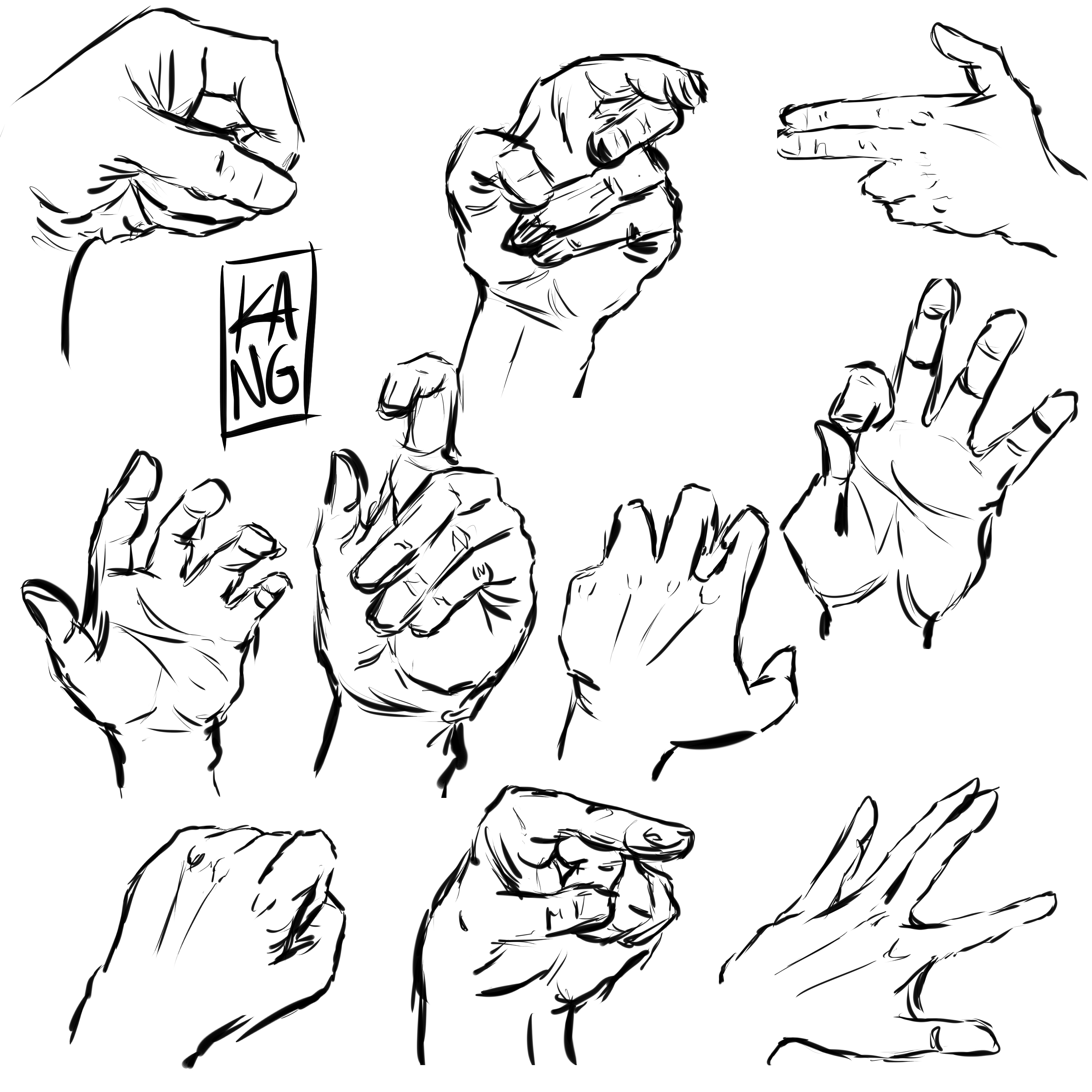 Hands Reference Drawing At Getdrawings Free Download 