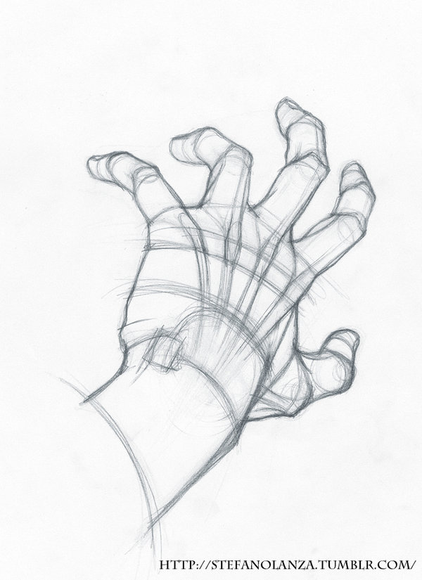 Hands Reference Drawing at GetDrawings | Free download