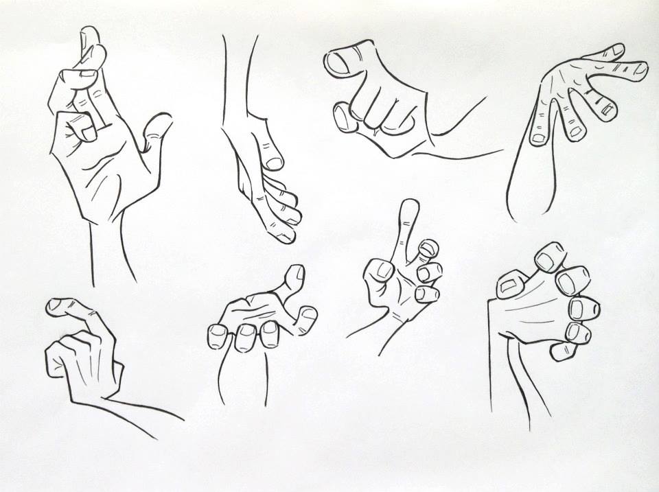 Hands Reference Drawing At GetDrawings | Free Download