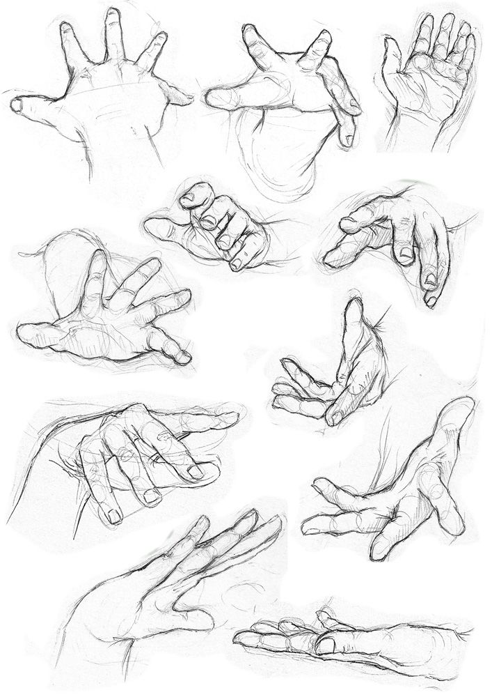 Hands Reference Drawing at GetDrawings | Free download