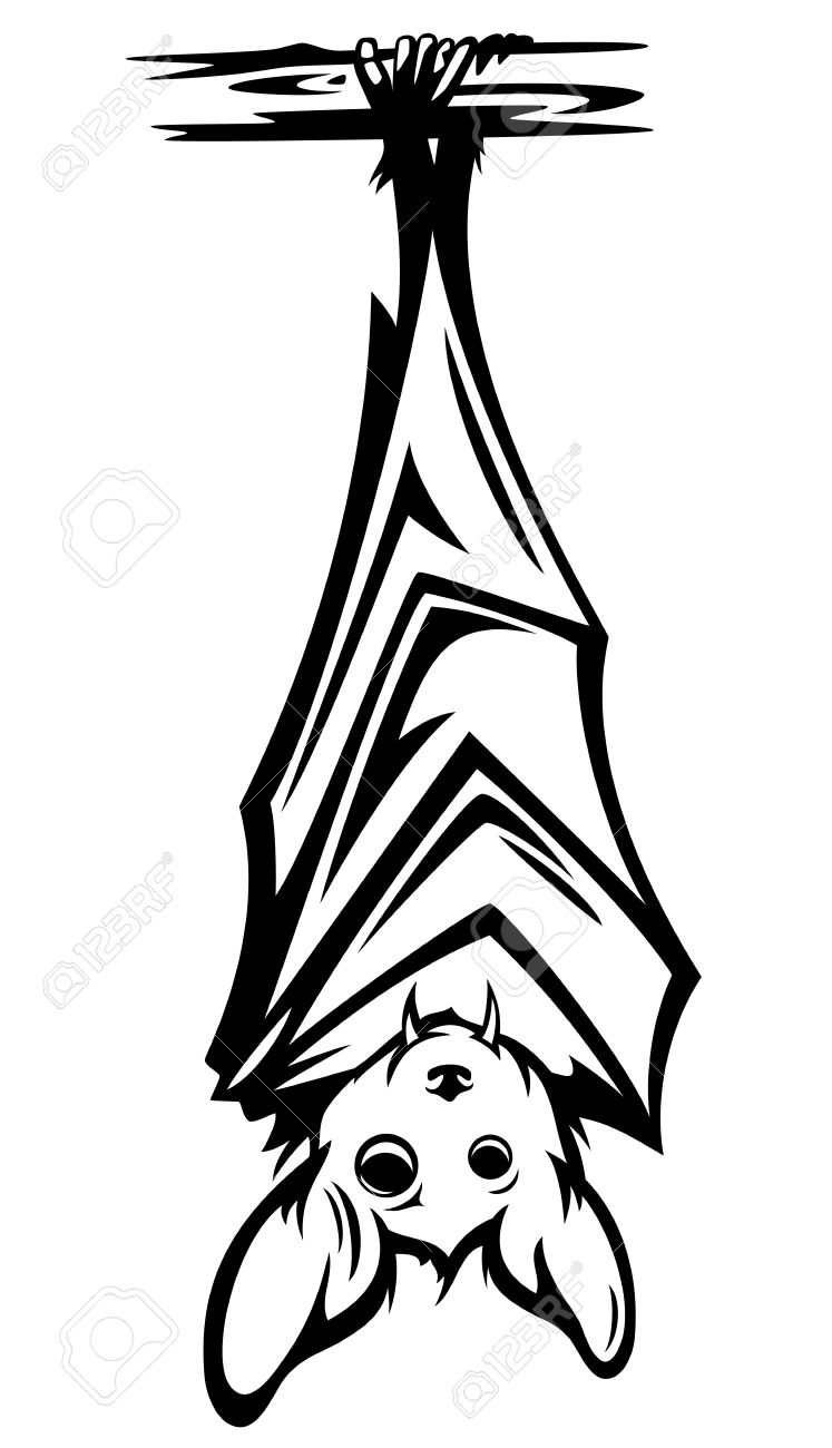 Hanging Bat Drawing at GetDrawings Free download