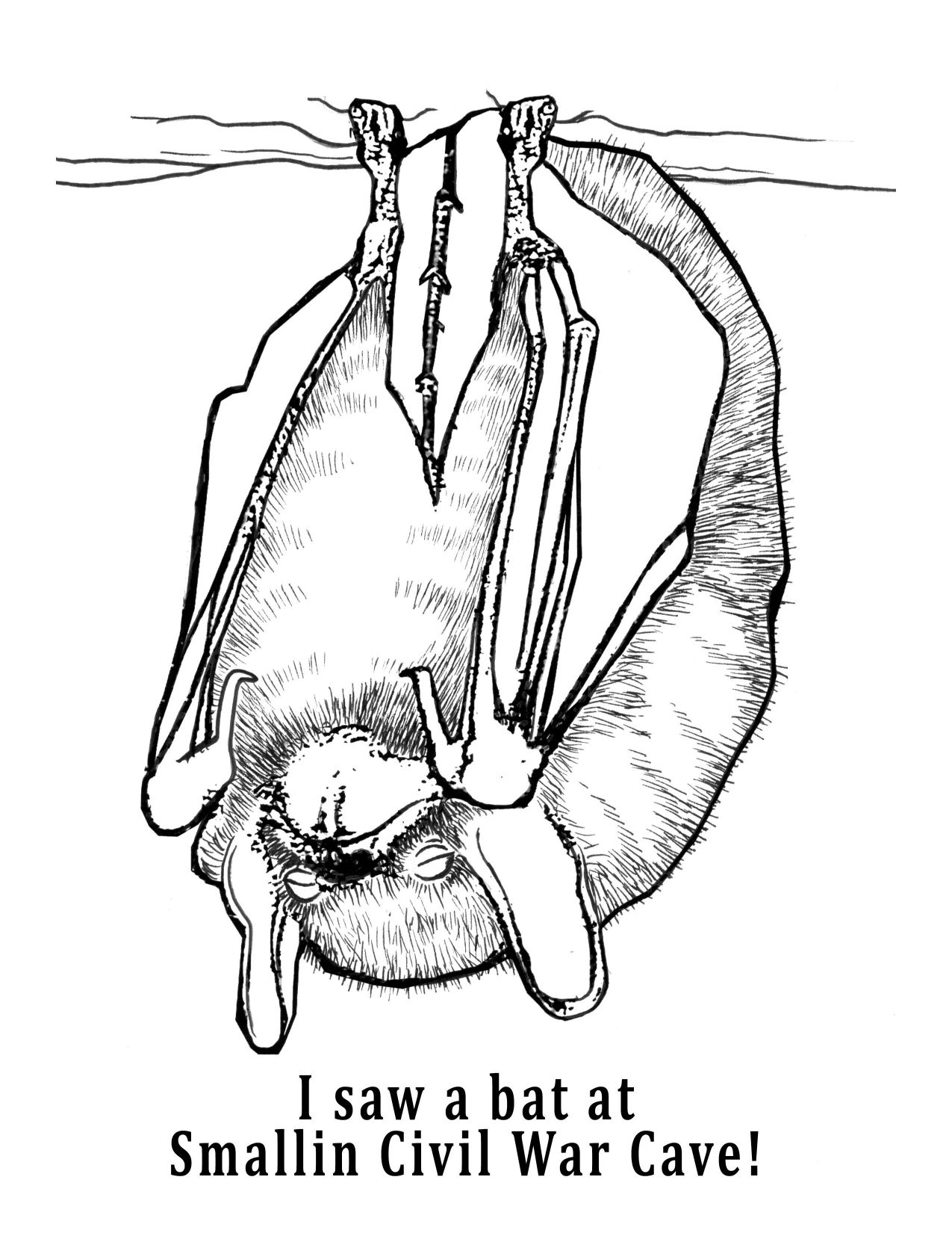 Hanging Bat Drawing at GetDrawings | Free download