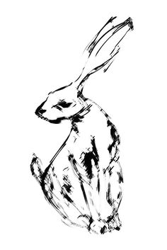 Hare Line Drawing At Getdrawings 