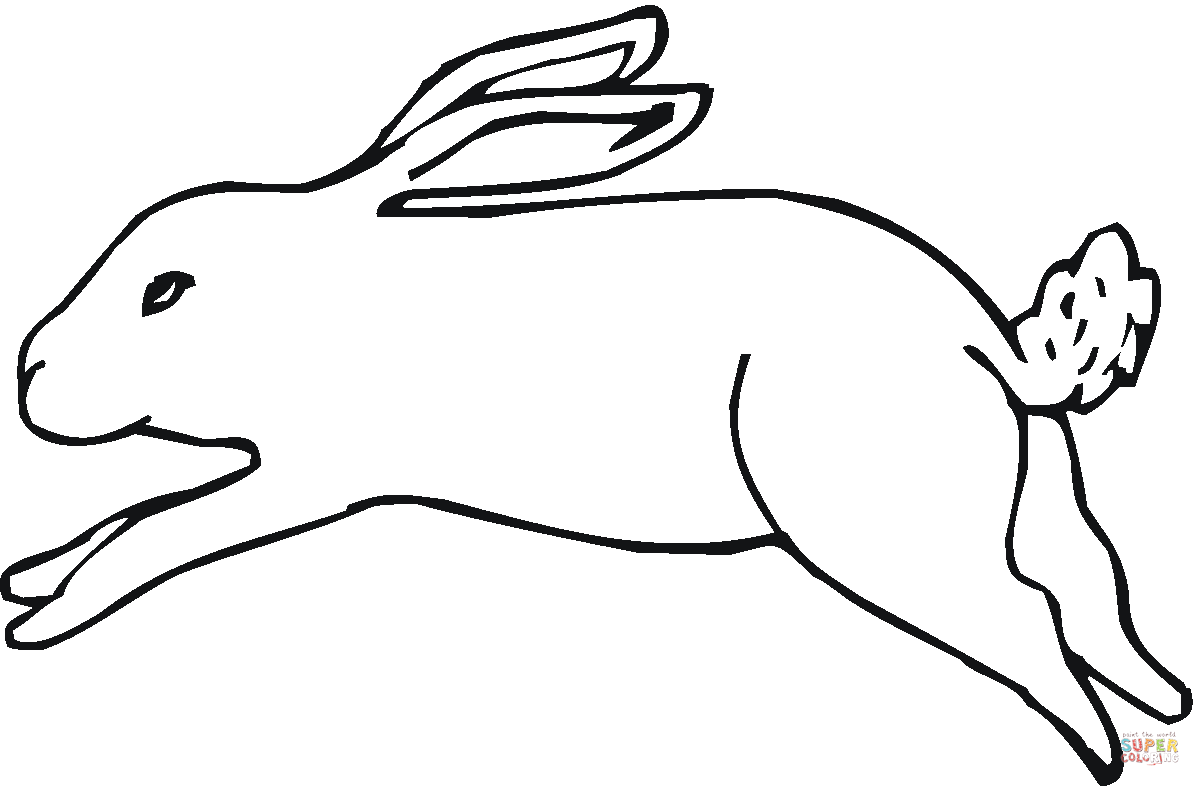 Раскраска заяц бежит