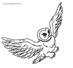 Harry Potter Hedwig Drawing At Getdrawings 