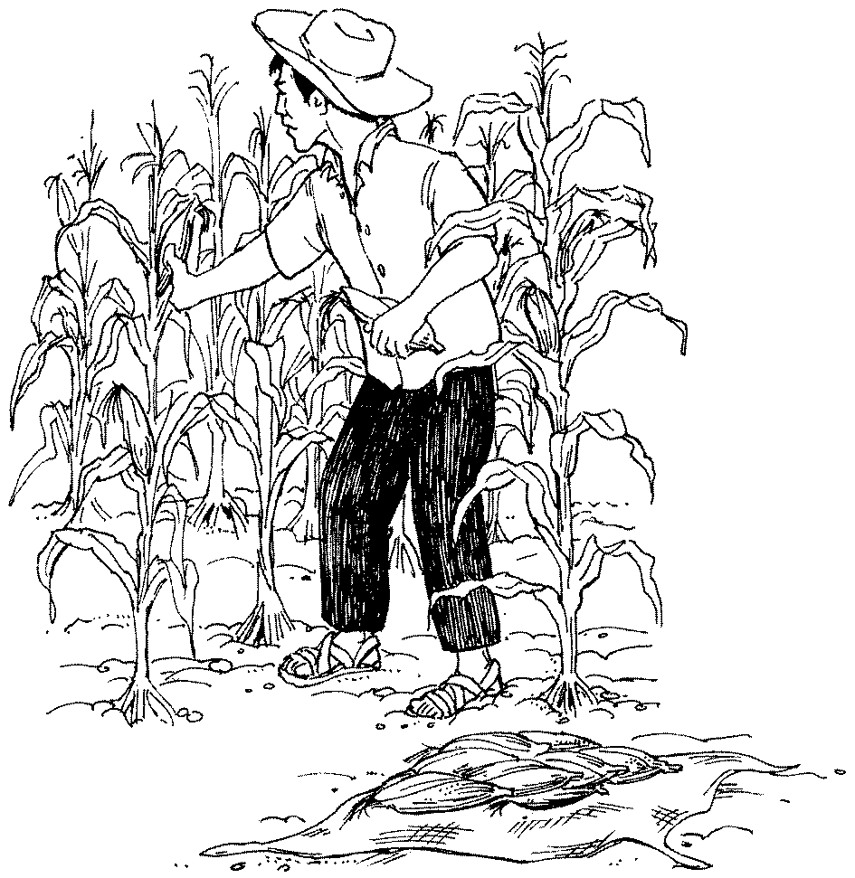 Harvest Drawing at GetDrawings Free download