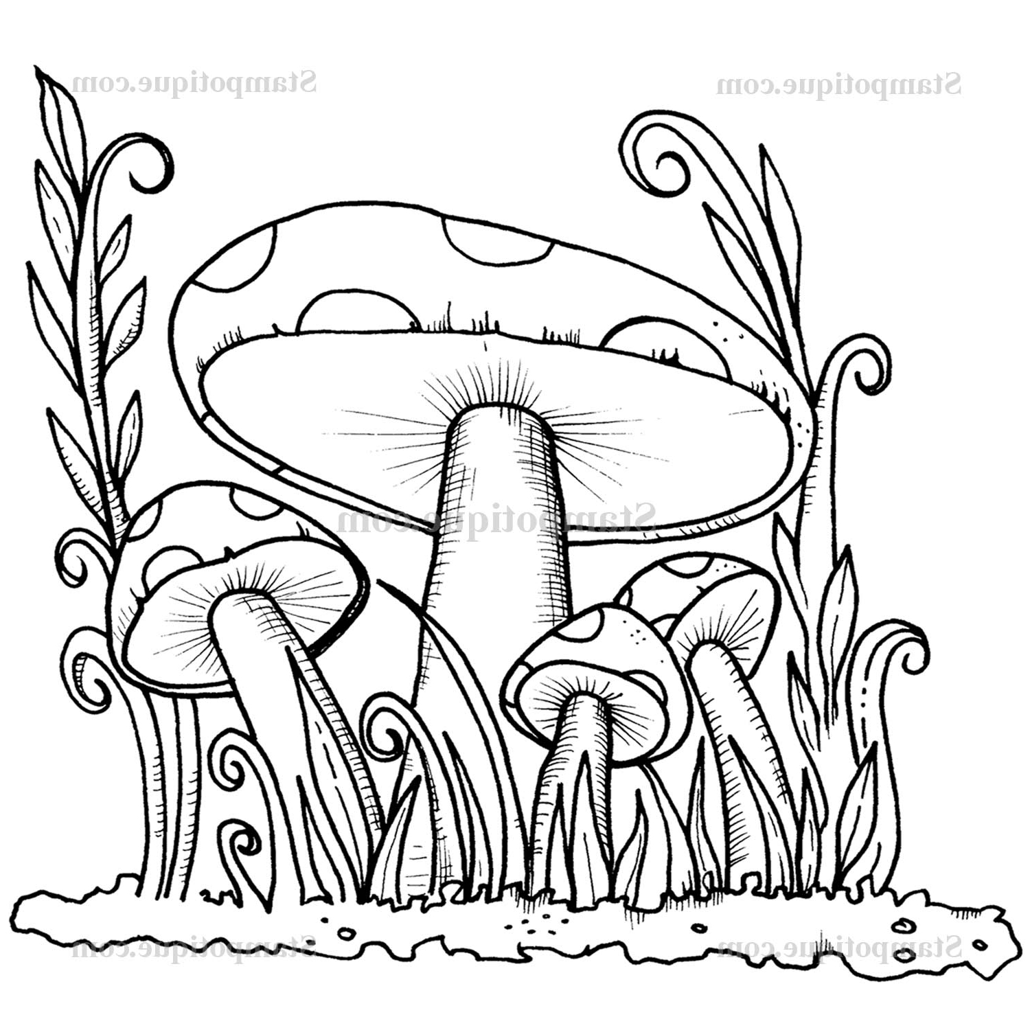 1500x1500 Colorful Mushroom Forest Drawings Colorful Mushroom Forest.