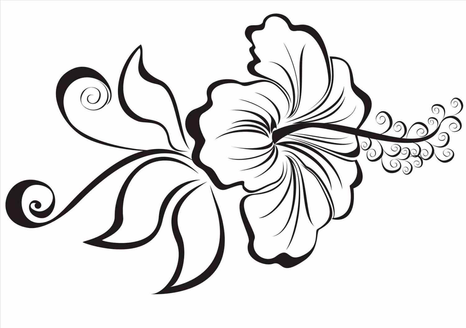 Hawaii Flower Drawing at GetDrawings Free download