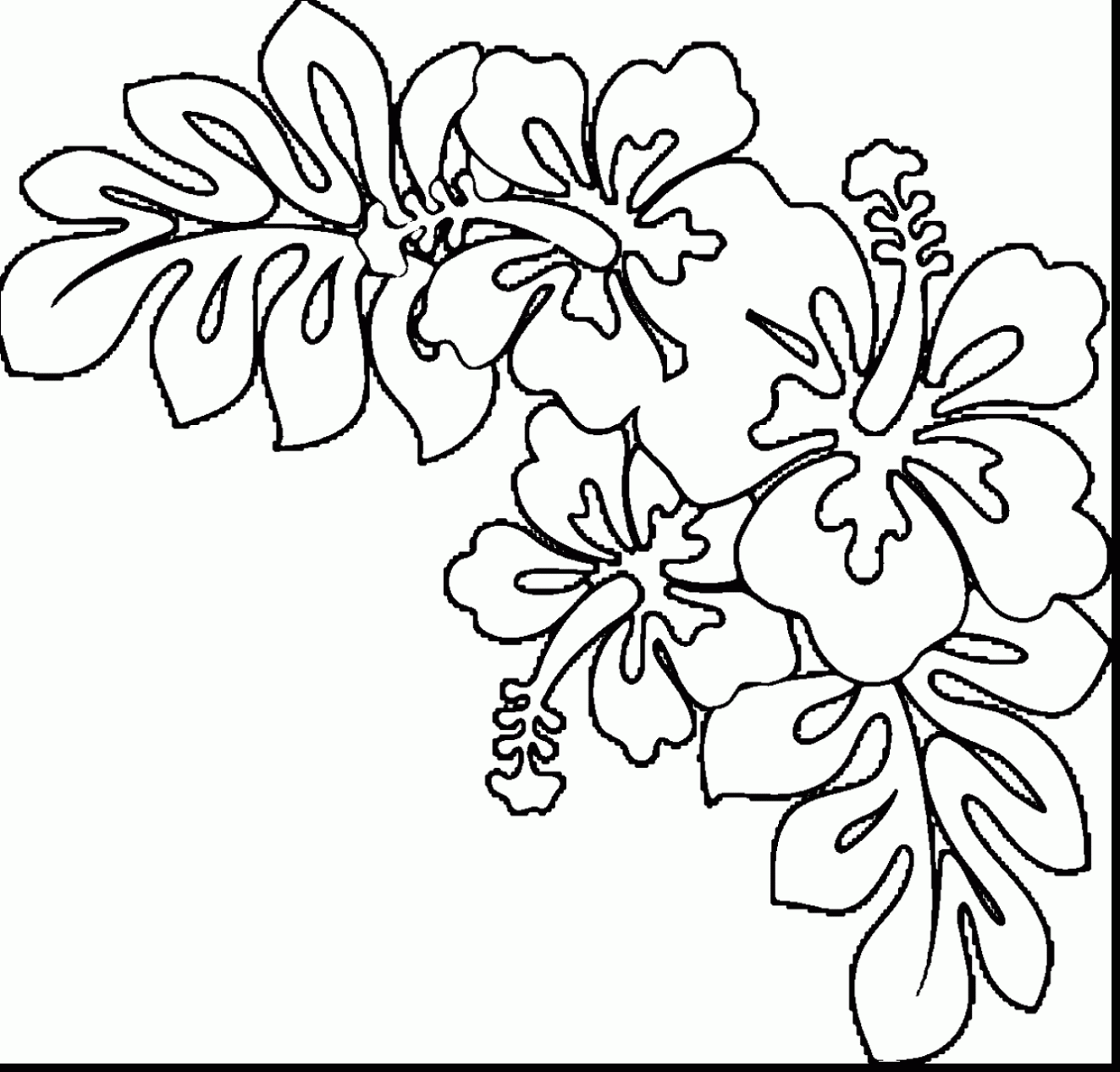 Hawaiian State Flower Page Coloring Pages