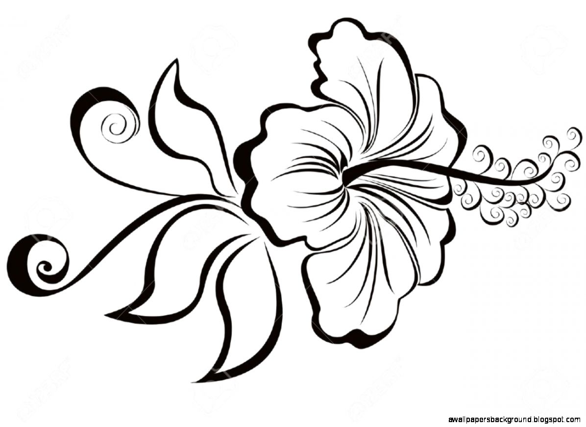 Hawaiian Drawing at GetDrawings Free download