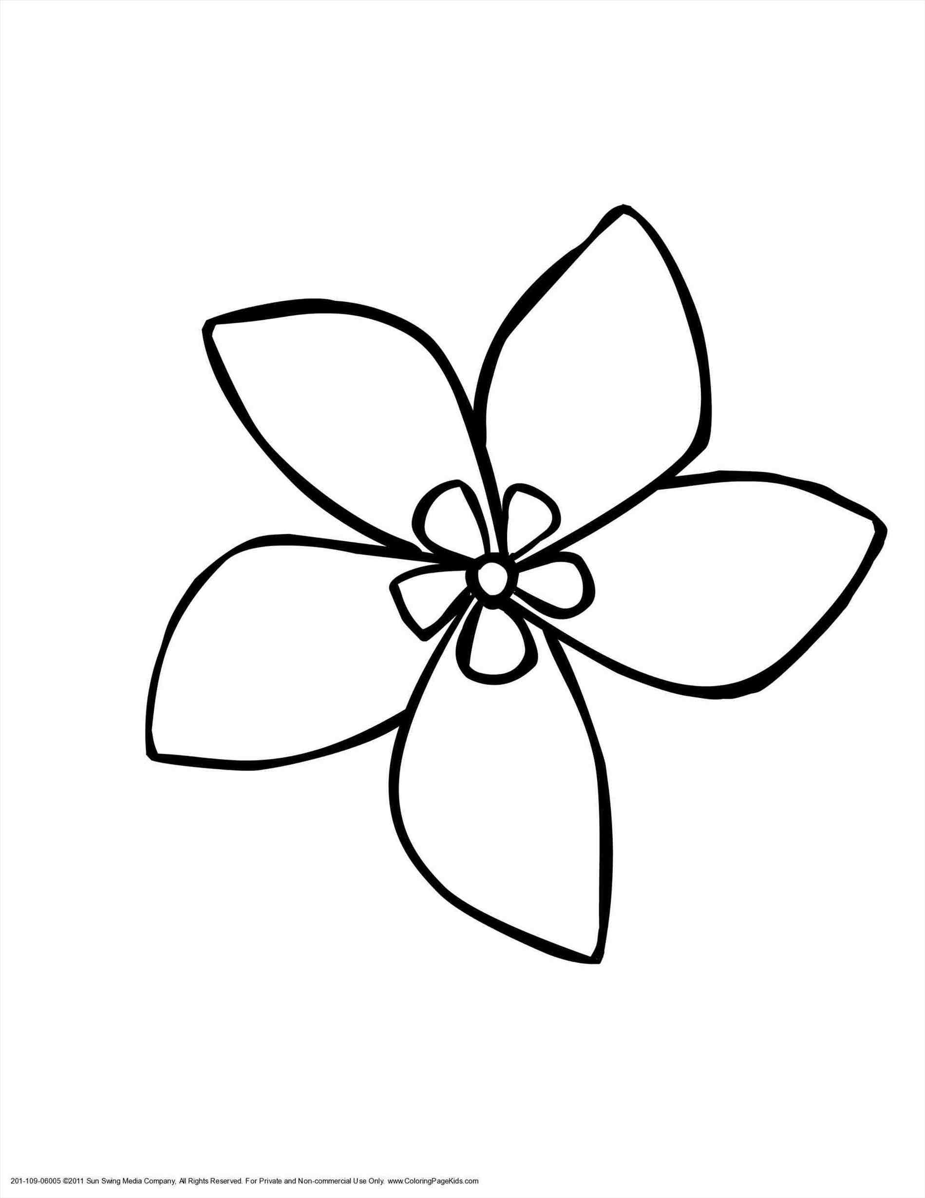 Hawaiian Flower Drawing At Getdrawings Com Free For