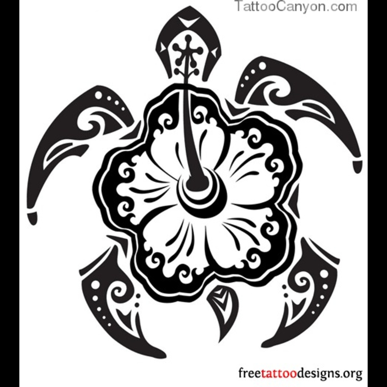 Hawaiian Turtle Drawing at GetDrawings Free download