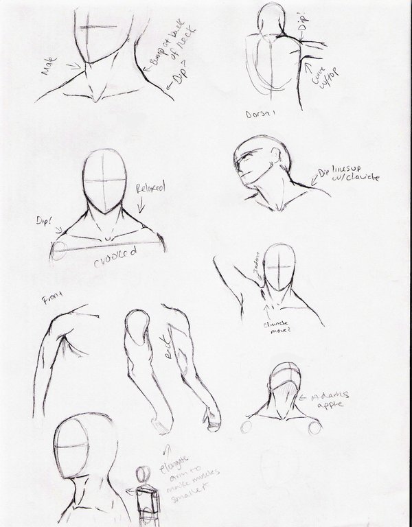 Head And Shoulders Drawing at GetDrawings Free download