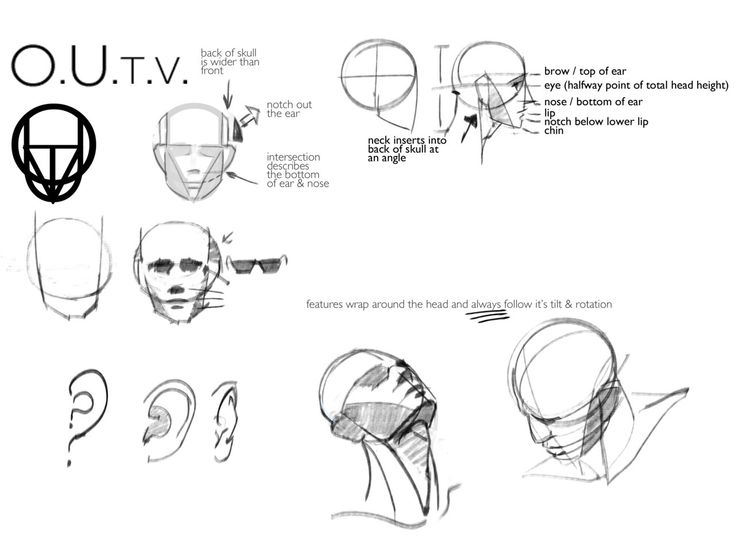 Head Tilted Back Drawing at GetDrawings Free download