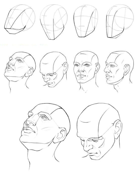 Head Tilted Back Drawing at GetDrawings | Free download