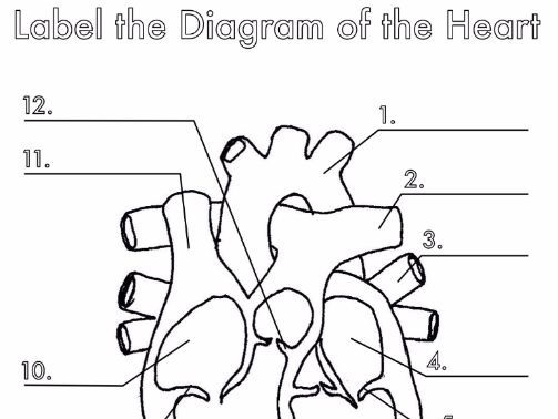 Heart And Labels Drawing at GetDrawings | Free download