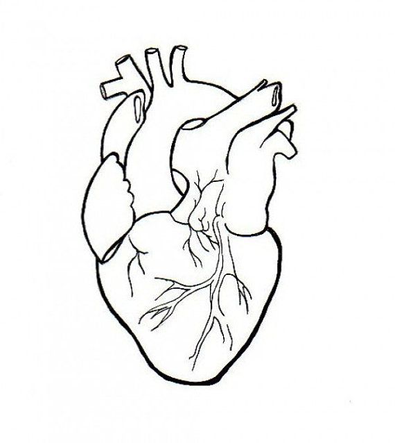 Heart Drawing Outline at GetDrawings | Free download