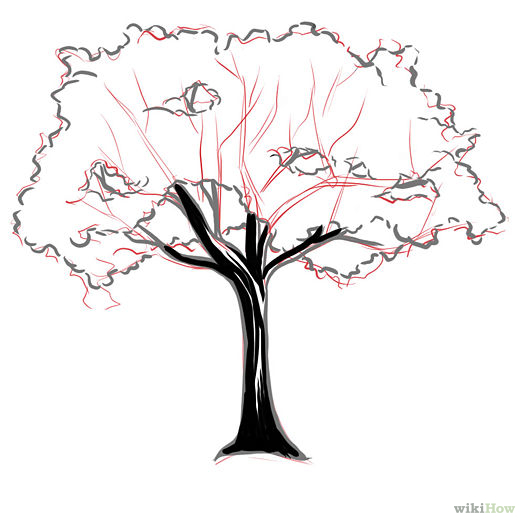 Hemlock Tree Drawing at GetDrawings | Free download