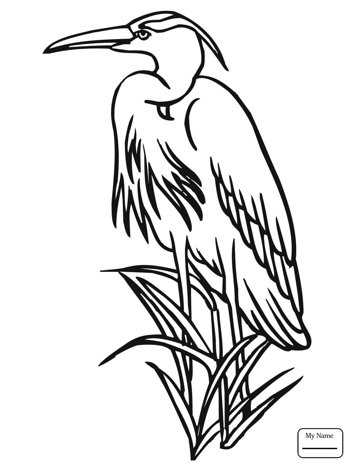 The best free Heron drawing images Download from 193 free drawings of