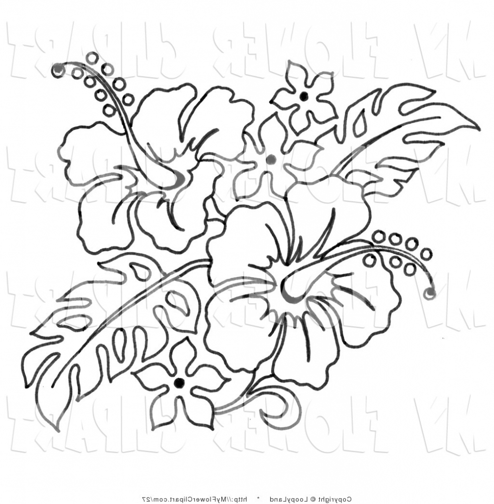 the-best-free-hibiscus-drawing-images-download-from-1026-free-drawings