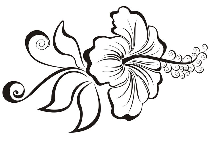 Hibiscus Tattoo Drawing at GetDrawings Free download