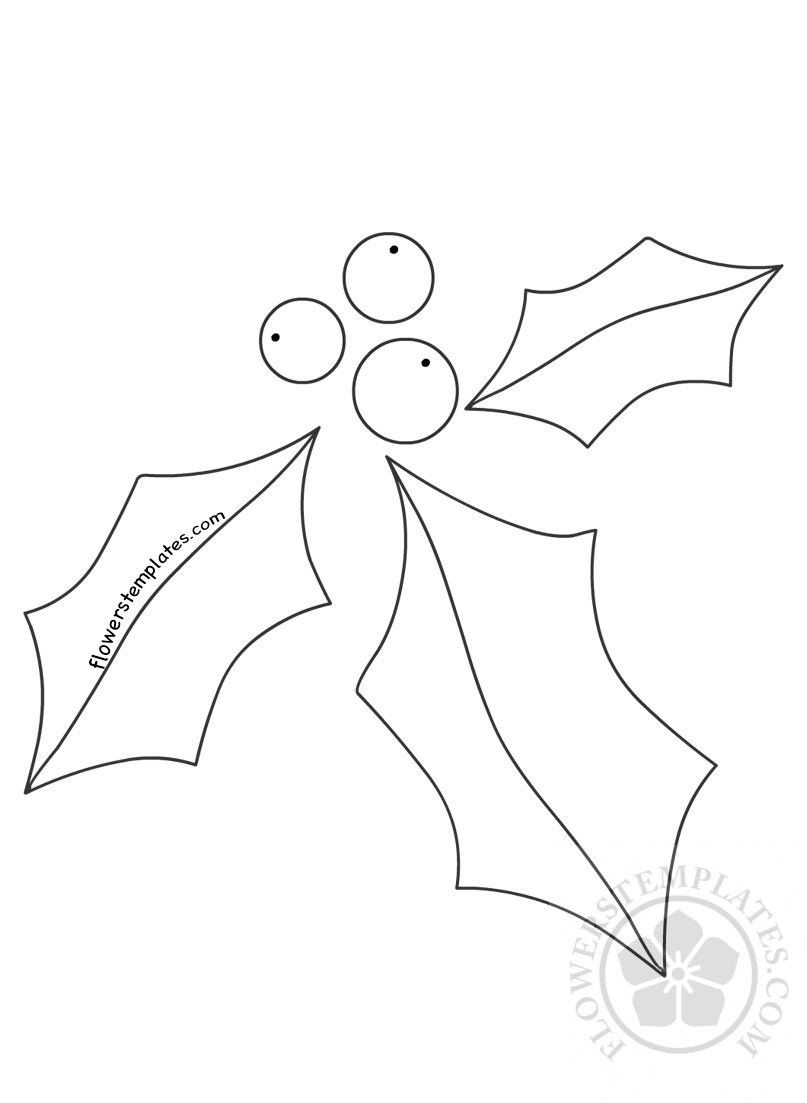 Holly Leaf Drawing at GetDrawings Free download