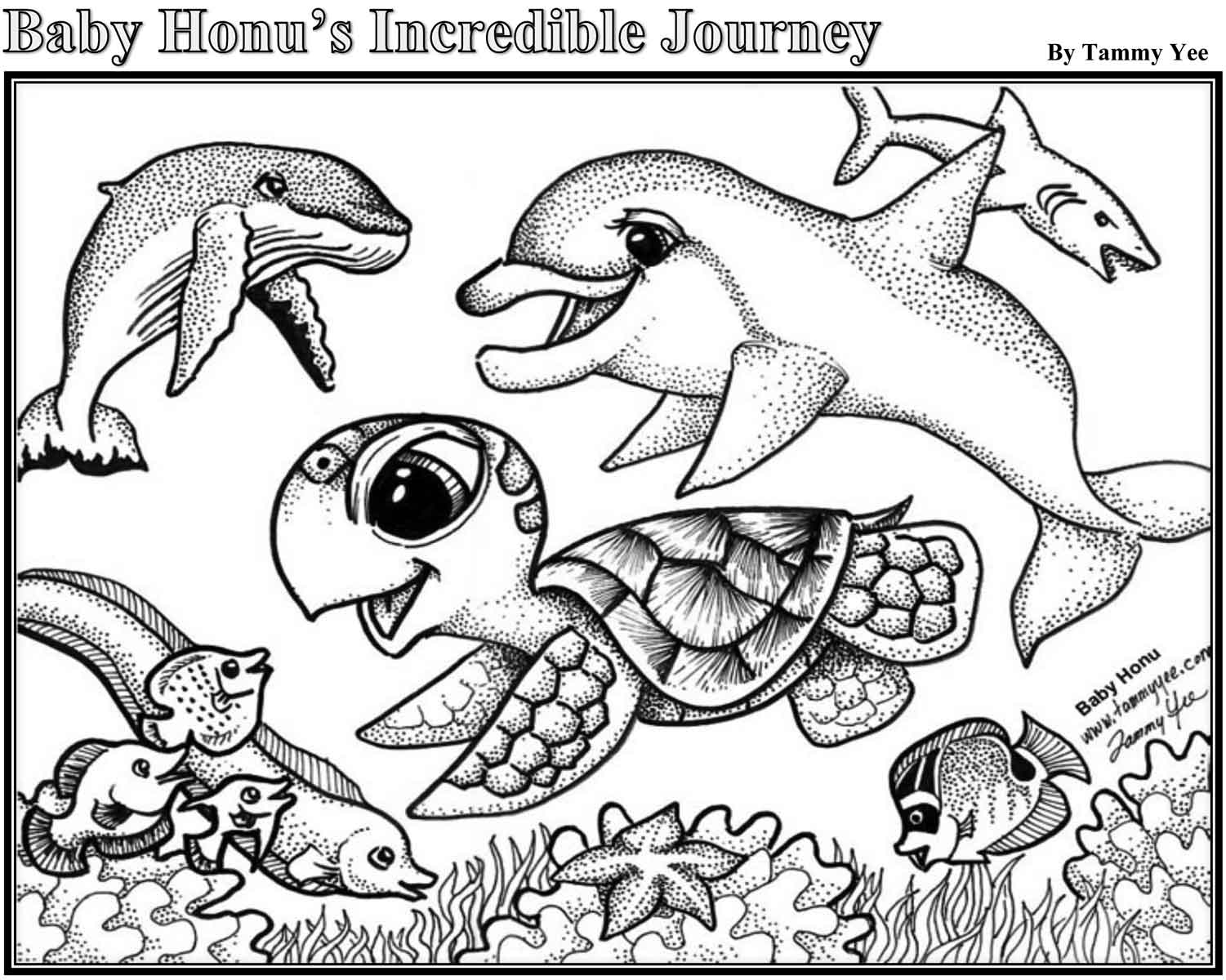 Honu Drawing at GetDrawings | Free download