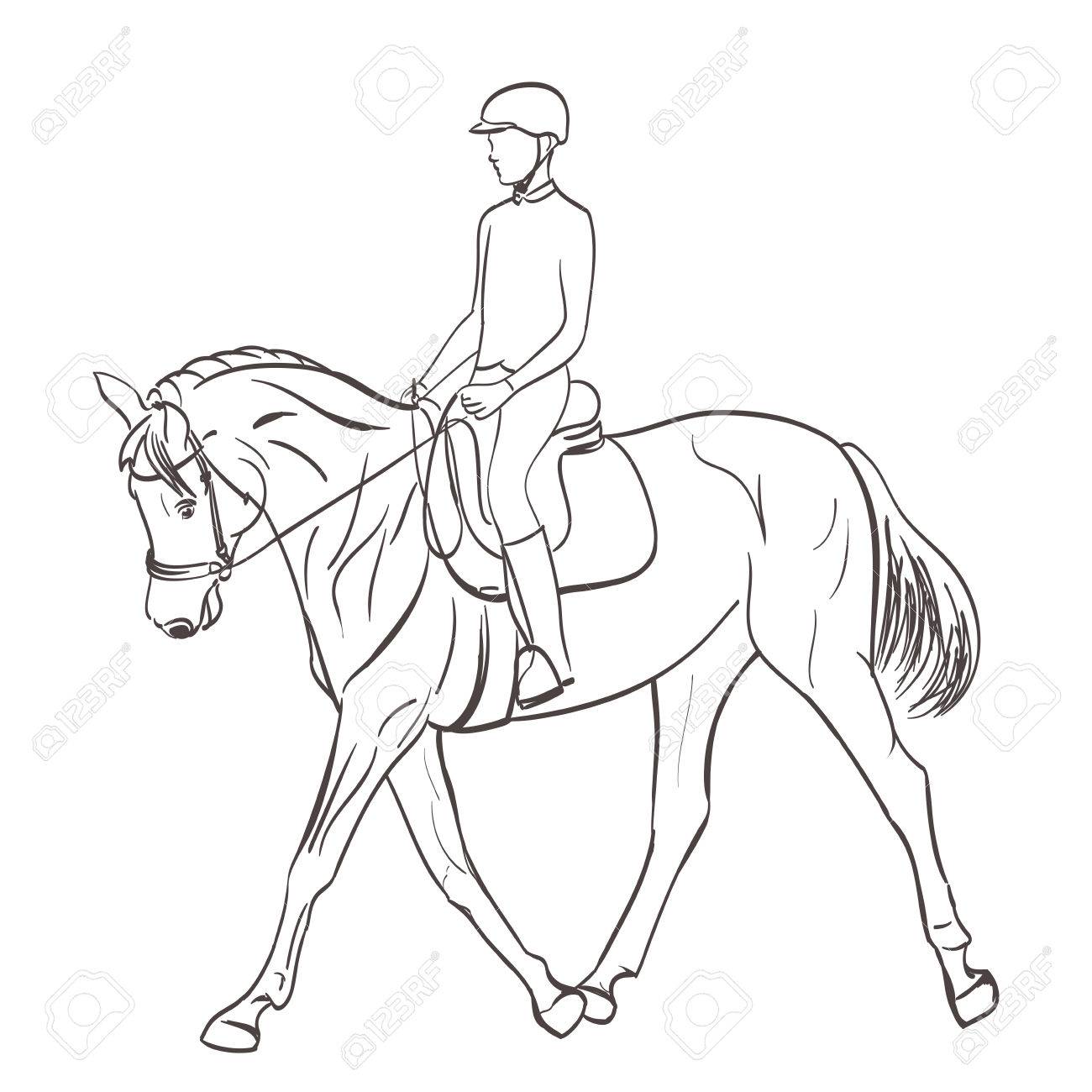 Horse And Rider Drawing at GetDrawings Free download