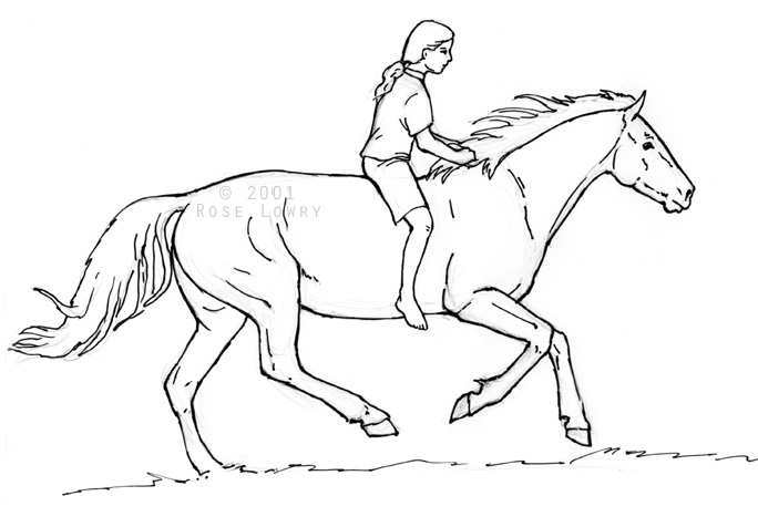 Horse And Rider Drawing at GetDrawings Free download