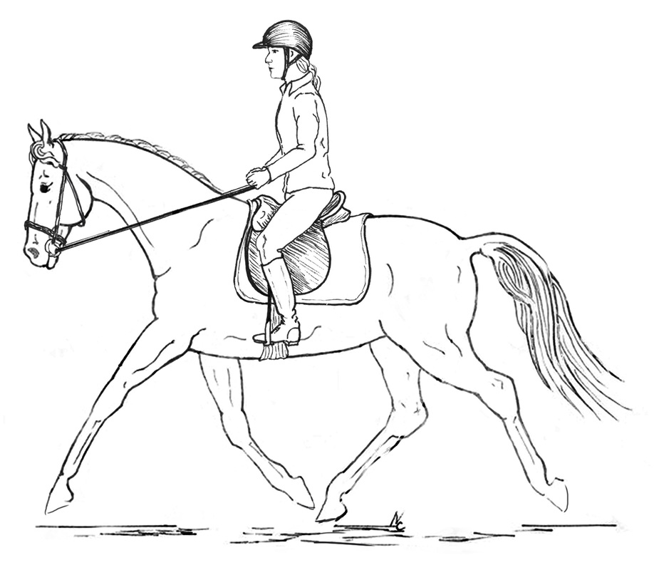 horse-and-rider-drawing-at-getdrawings-free-download