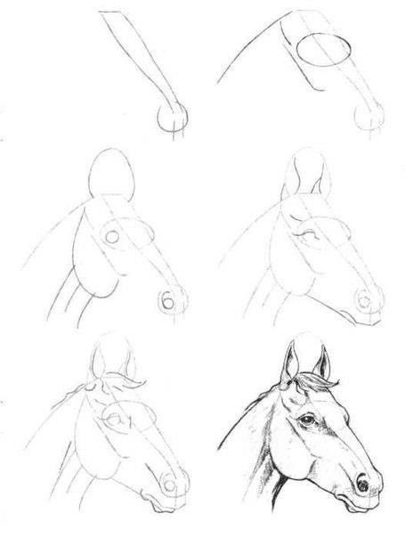 Horse Bench Plans Drawing at GetDrawings | Free download