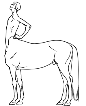 horse body drawing