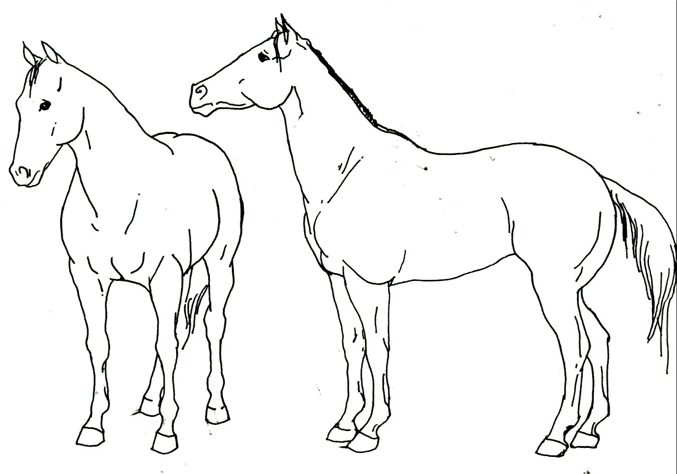 Лошадь карандашом для детей
