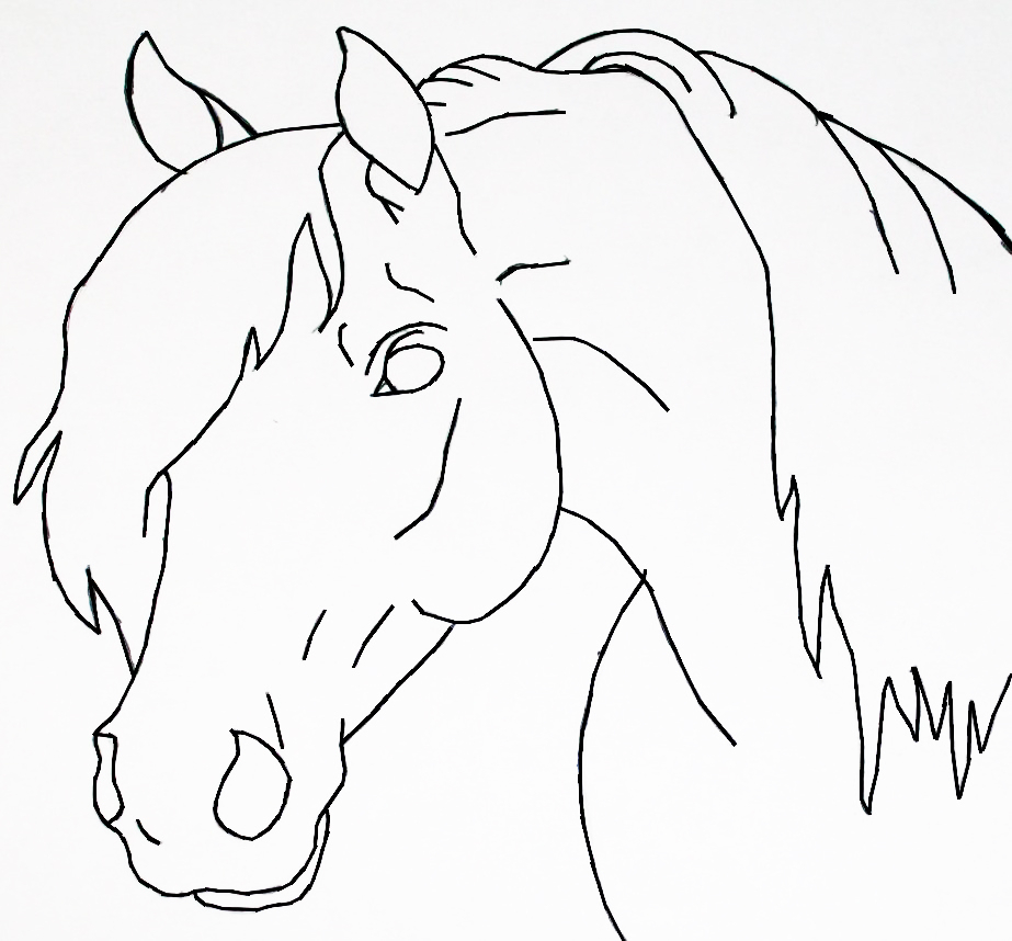 How To Draw A Horse Head Front View Easy