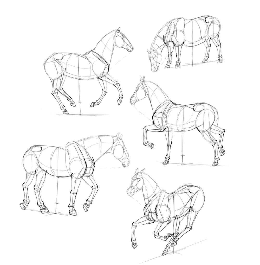 Horse Drawing Easy Step By Step at GetDrawings | Free download