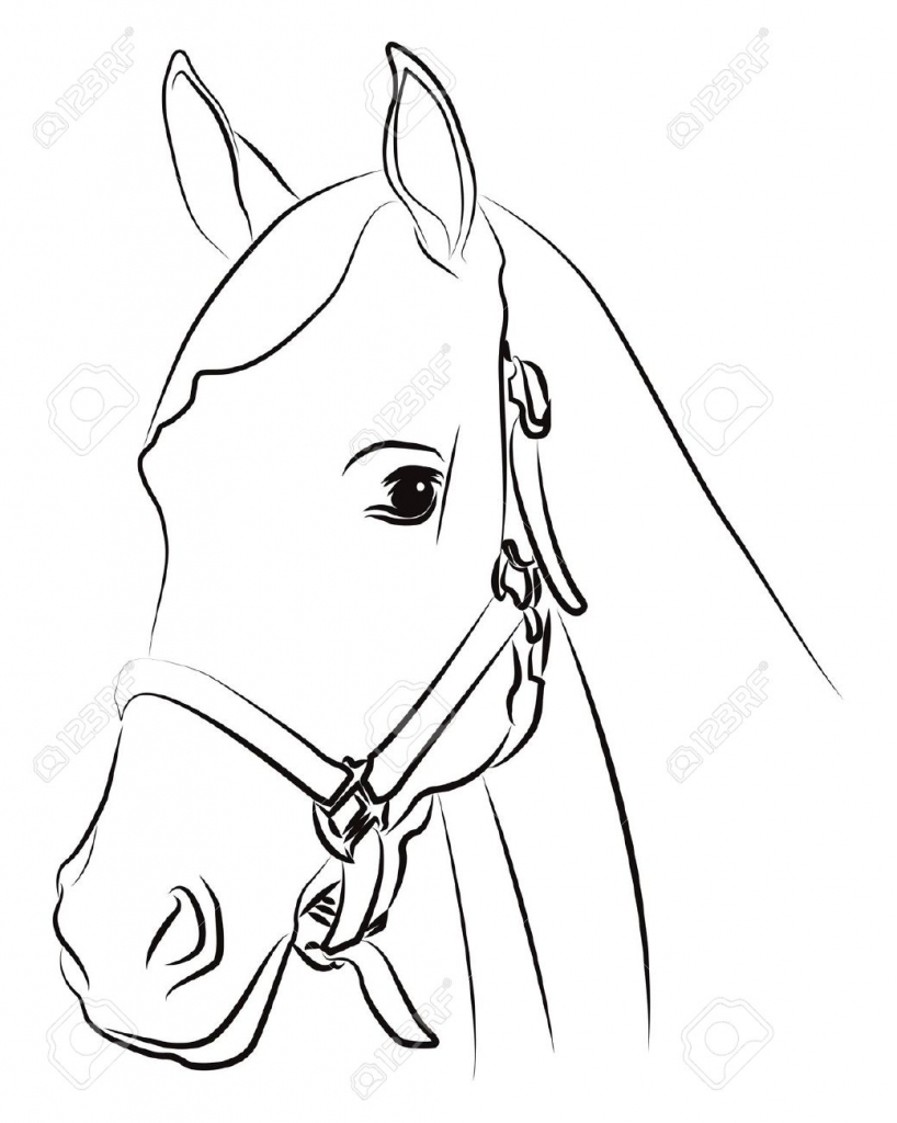 Horse Drawing Outline at GetDrawings | Free download