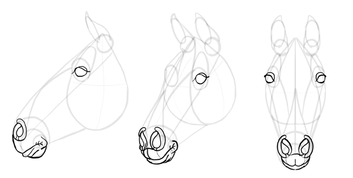 Horse Head Drawing at GetDrawings | Free download