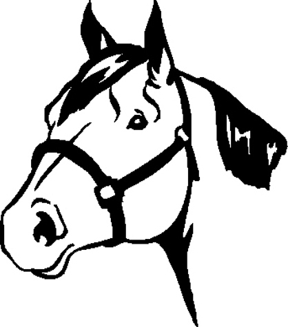 Horse Head Drawing Easy at GetDrawings | Free download