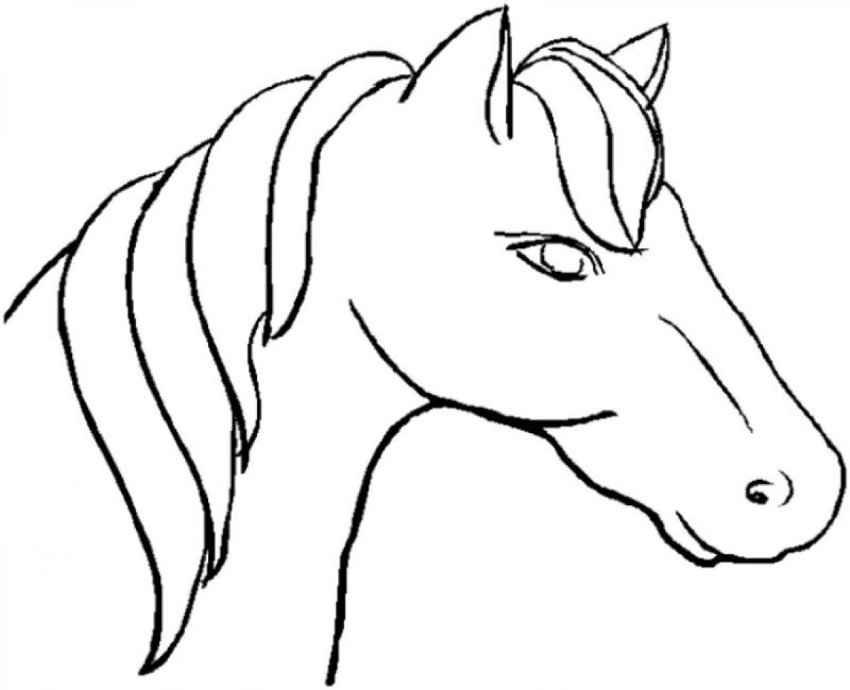 simple curly horse sketch