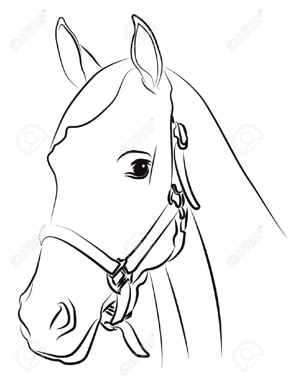 Horse Head Drawing Step By Step at GetDrawings | Free download