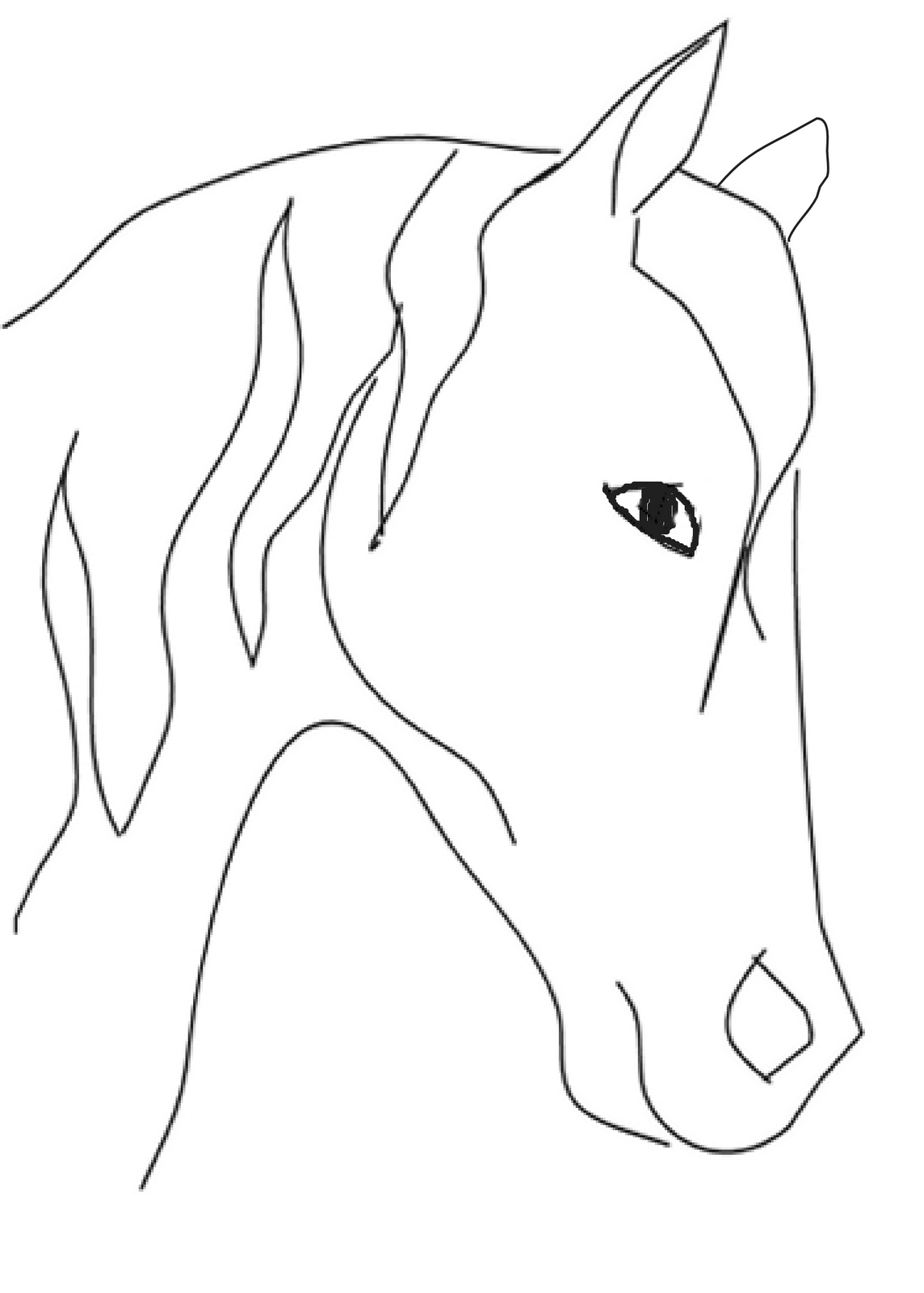 Horse Head Drawing Step By Step at GetDrawings | Free download