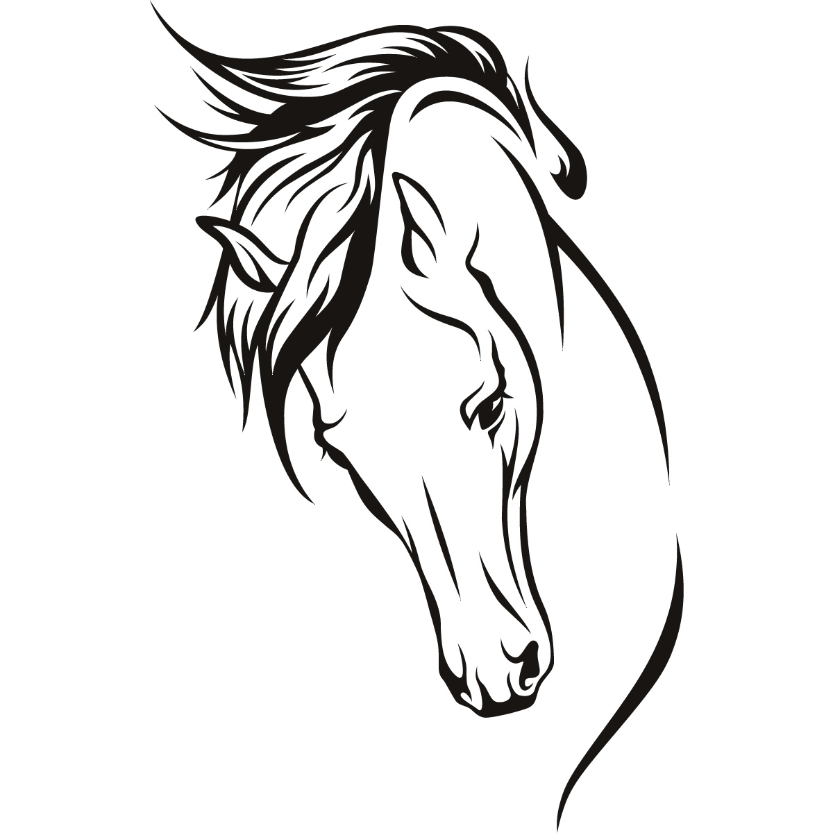 Horse line drawing