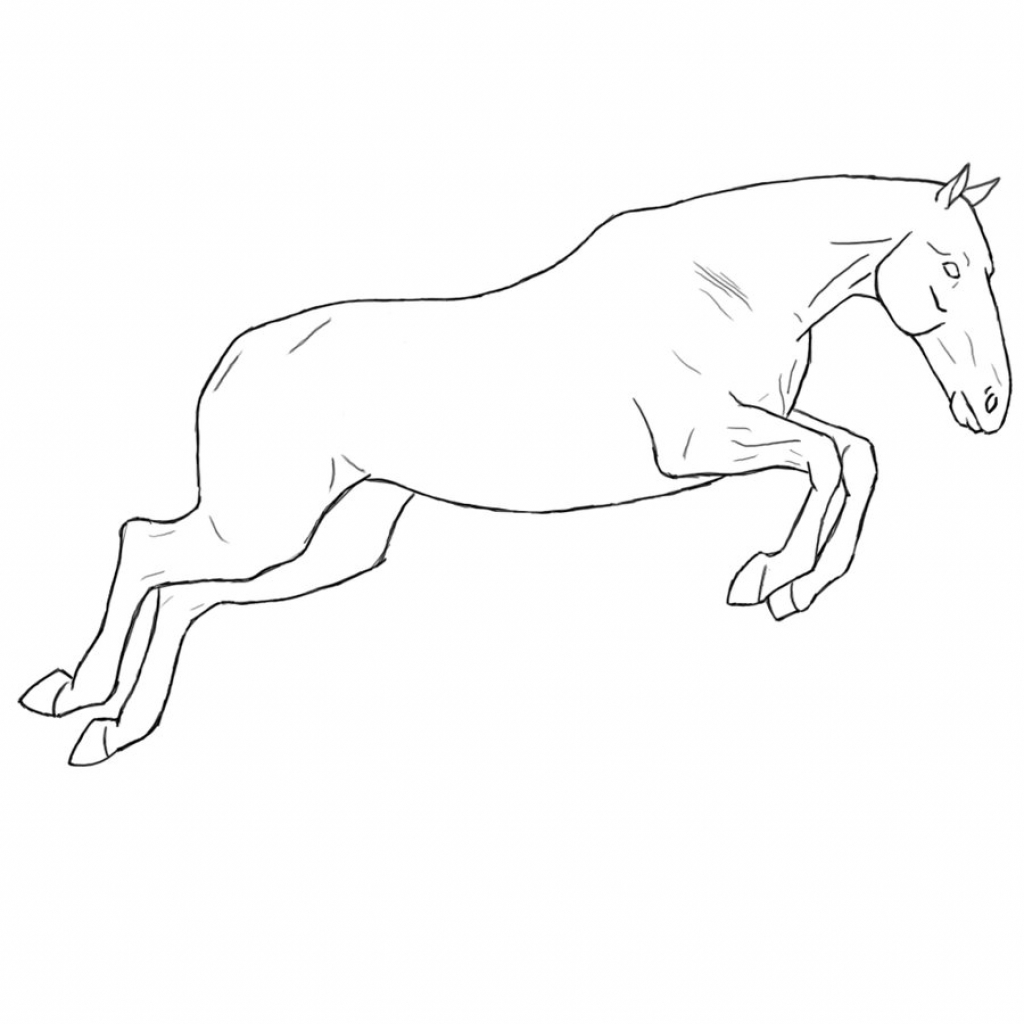horse jumping line drawing